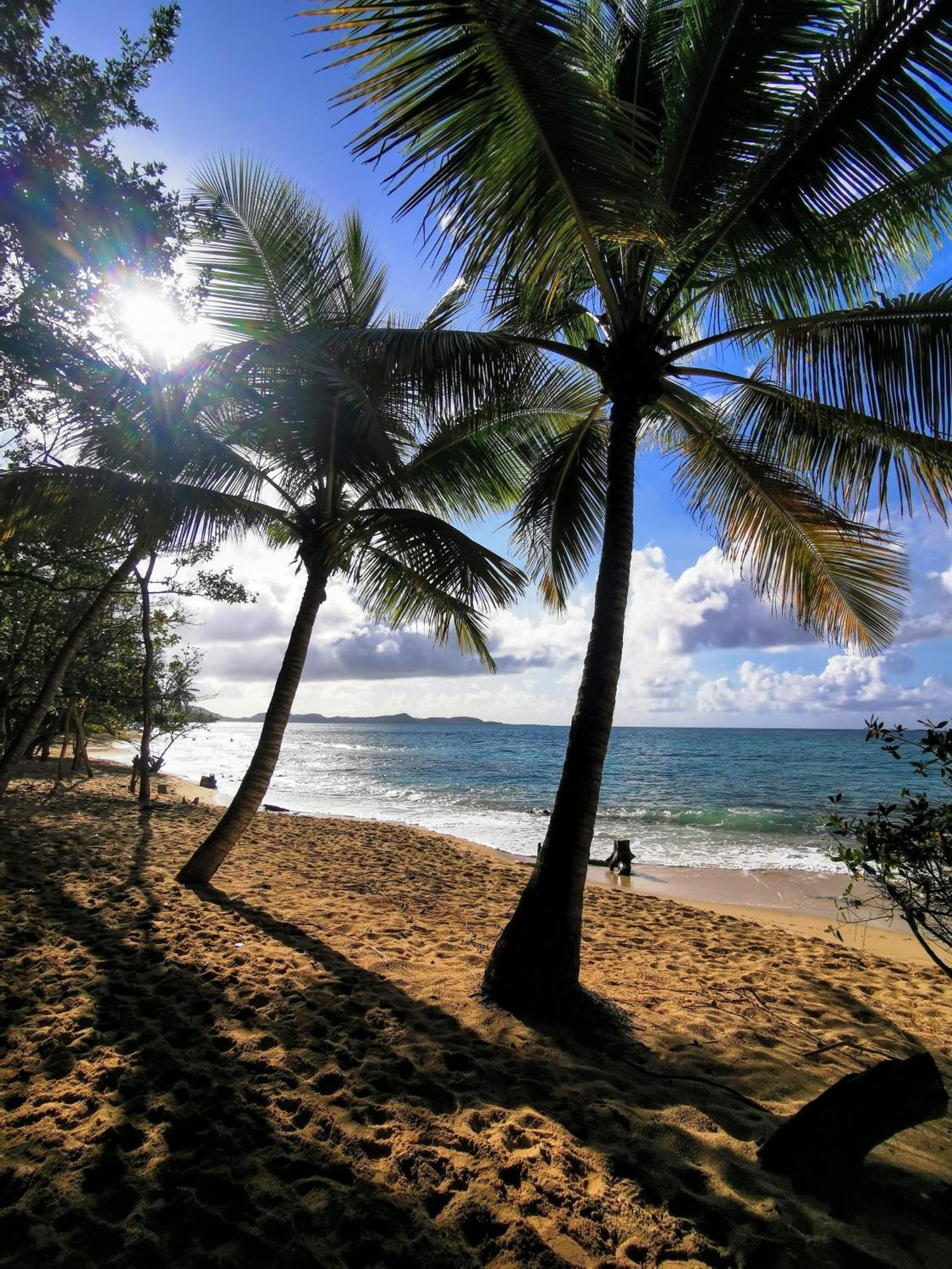 Ti'Bakoua A Sainte-Luce Plage Et Piscine エクステリア 写真
